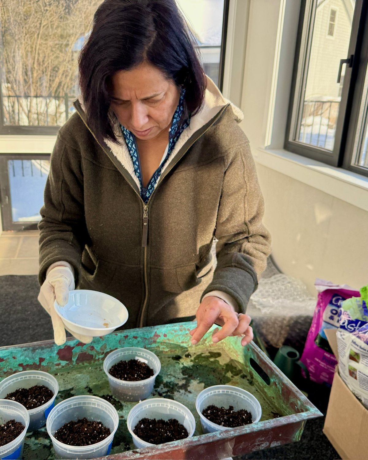 Sonali starting seeds in small containers.