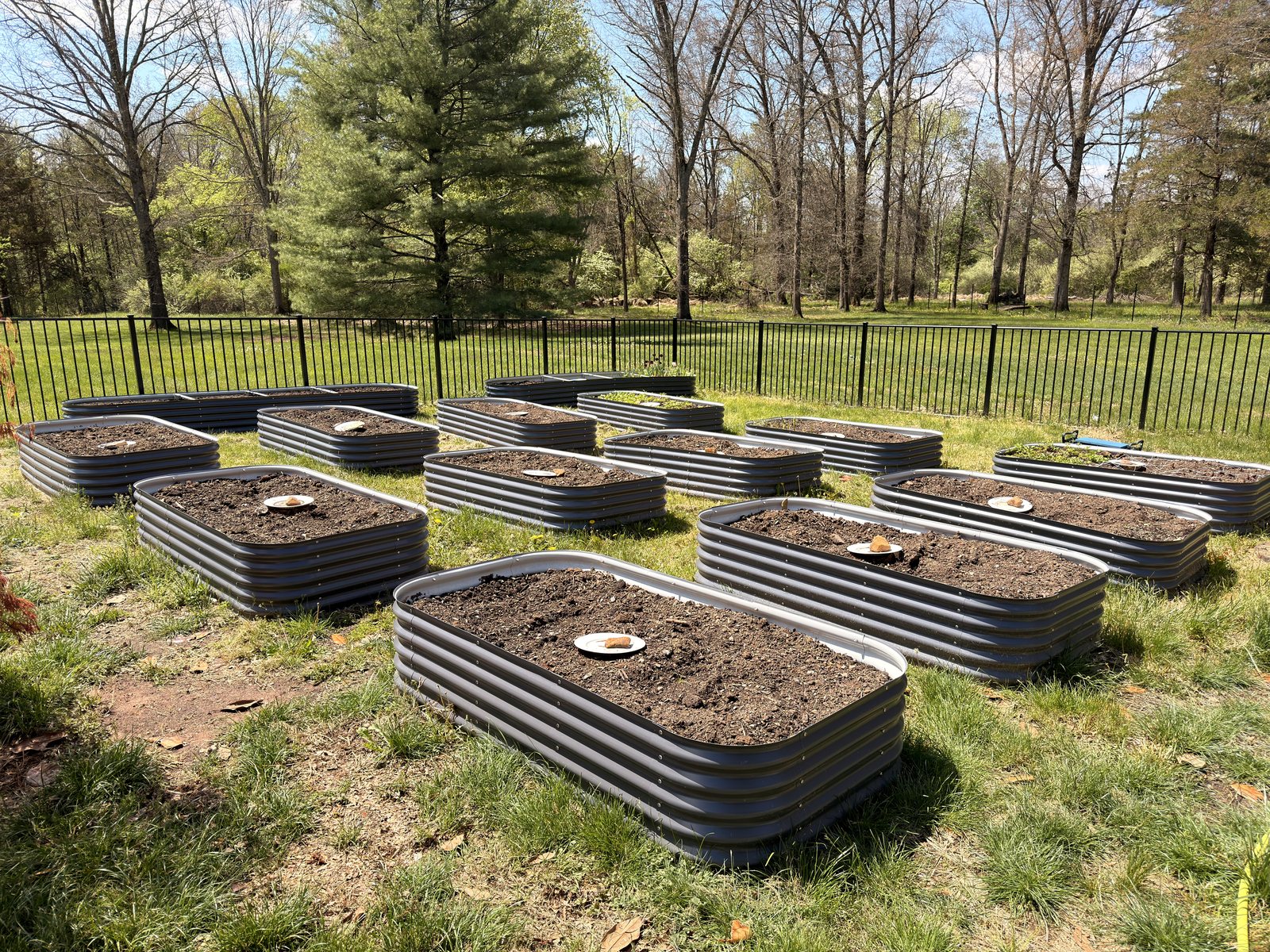 Raised beds prepared for the first Willow & Vase growing season.